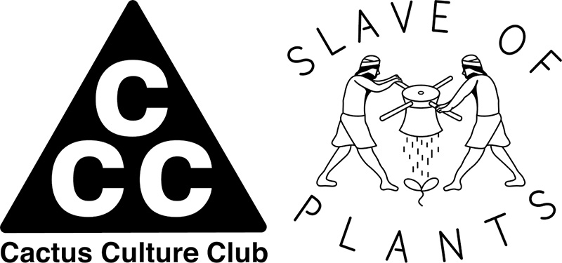 Cactus Culture Club SLAVE OF PLANTS