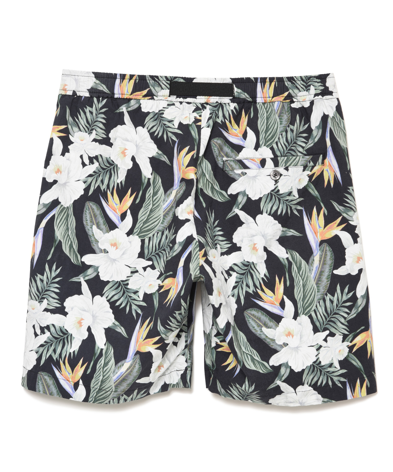 BOTANICAL STRETCH SHORTS（Seagreen）｜TATRAS