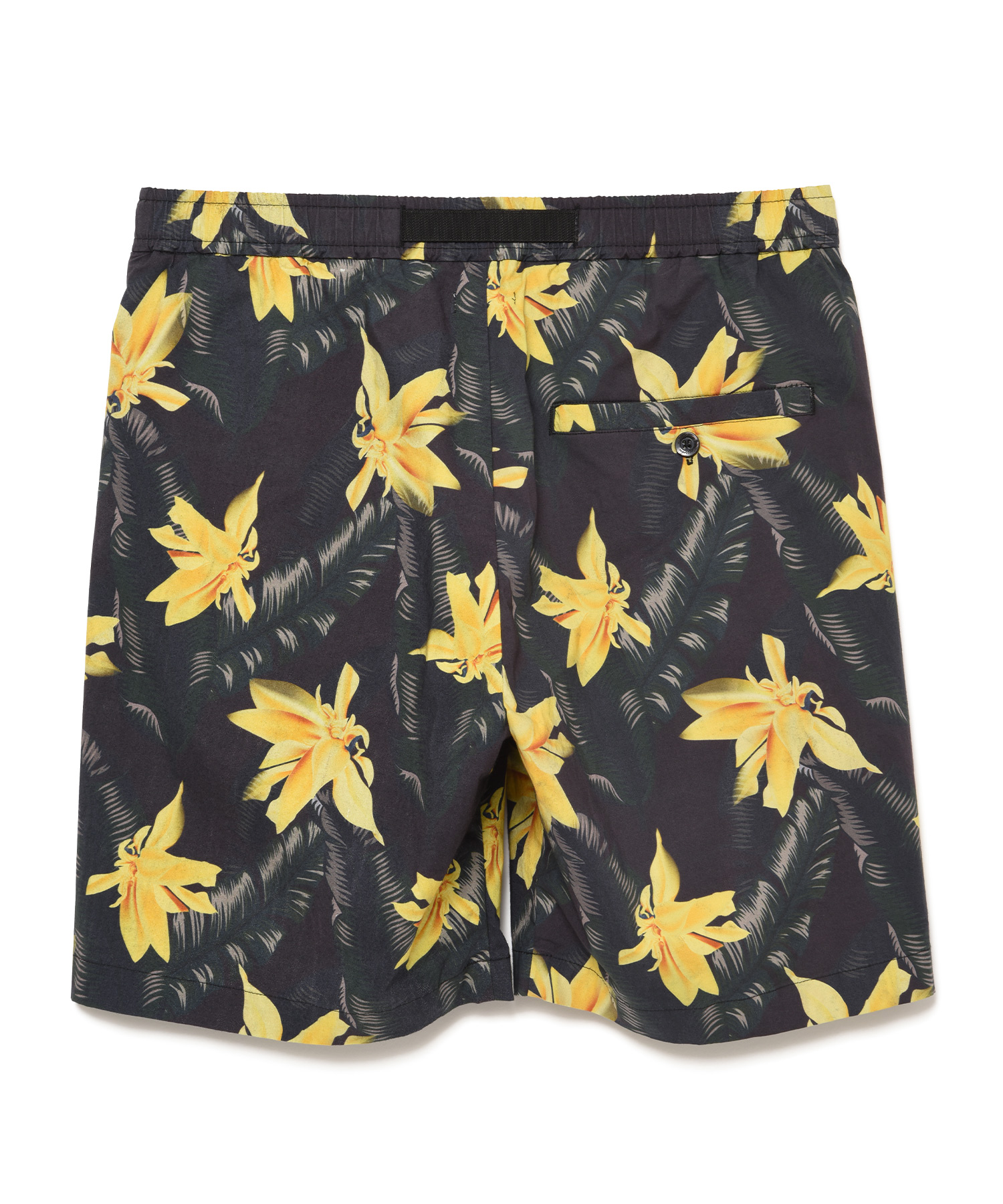 BOTANICAL STRETCH SHORTS（Seagreen）｜TATRAS CONCEPT STORE