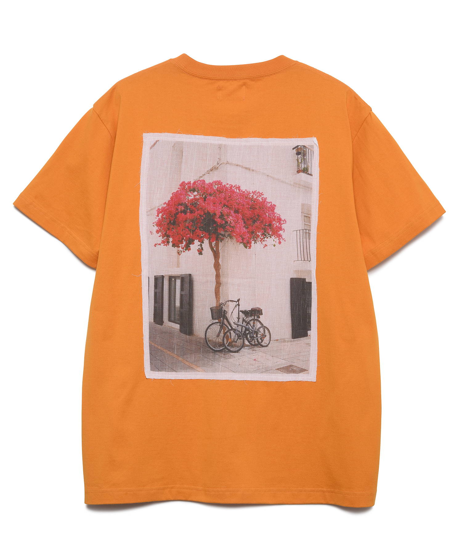 【公式】SEAGREEN (シーグリーン) 40/2 SOFT JERSEY T-SHIRT ORANGE/71 サイズ:01,02,03,04,05 Tシャツ・カットソー メンズ